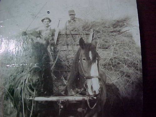 Hay wagon loaded