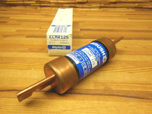 Brush ECNR 125 250VAc fuse