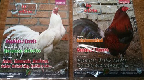 PIE DE CRIA POULTRY GAMEFOWL MAGAZINE  APRIL