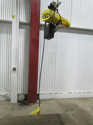 (1) BUDGIT Chain Hoist with Columbus McKinnon 1/2-Ton Motor - Used - AM13948