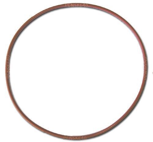 Chemiclave 4000/5000 Aquaclave 10 Door Seal Gasket