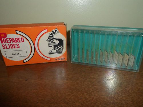 Vtg Pair of Science Biology Educational Insect Prepared Slides. Japan