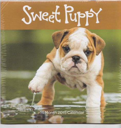 SWEET PUPPY Dogs 2015 Mid Medium Size Wall Calendar NEW Puppies