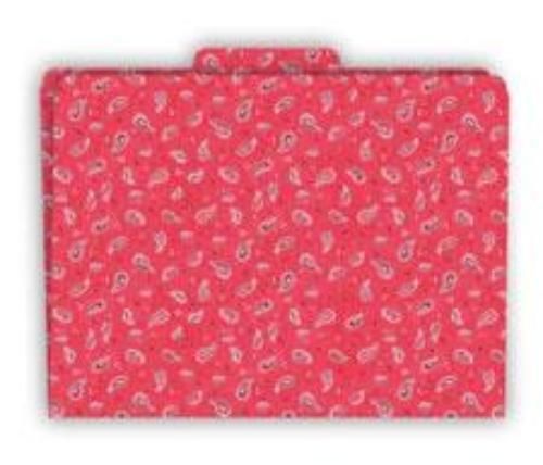 Barker Creek Bandanna File Folders