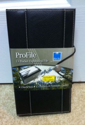 Blue Sky &#034;ProFile&#034; 13 Pocket Expanding File - Brand New!!!
