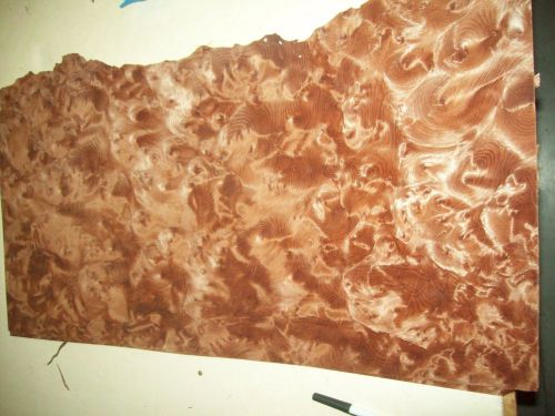 redwood burl veneer 8 @ 9 x 24 [1070