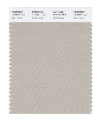 PANTONE SMART 14-4501X Color Swatch Card, Silver Lining