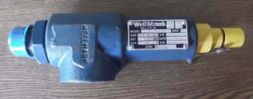 Wellmark relief valve w2601-ev1-311-300 for sale