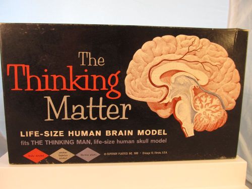 The Thinking Matter: Life Size Human Brain Model SUPERIOR PLASTICS 1960