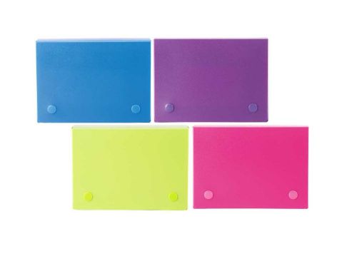 Filexec 4 x 6 Inch Index Case Snap Button Closure 5 Index Dividers Assorted (...