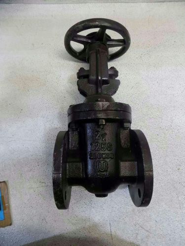 Milvco Fig. 2885-M 2-1/2&#034; 200 WOG Flanged IBBM Iron Gate Valve