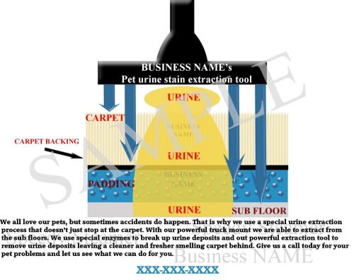 Carpet Cleaning Image (Pet Stain Removal) with Business Information