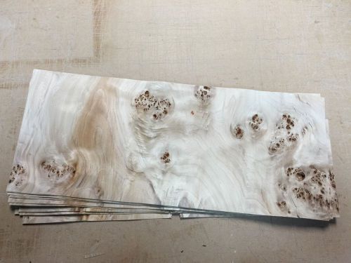 Wood veneer mappa burl 10x25 12 pieces total raw veneer &#034;exotic&#034;map2 2-11-15 for sale