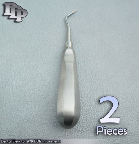 2 Dental Elevator # 79 Surgical Veterinary Instruments