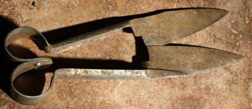 Vintage Sheep Shears