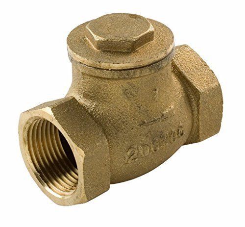 Everflow Supplies 210T002-NL IPS Threaded Brass Swing Check Valve 2 Inch - Lead