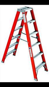 12 Ft Werner Sted Ladder Feberglas