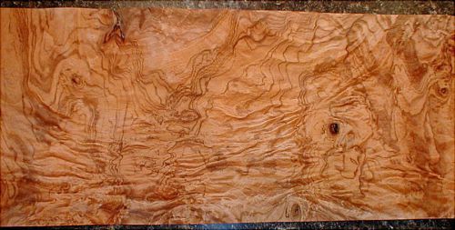 Olive ash burl veneer    (OAB1)