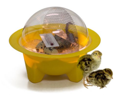 Chick Bator Mini Incubator