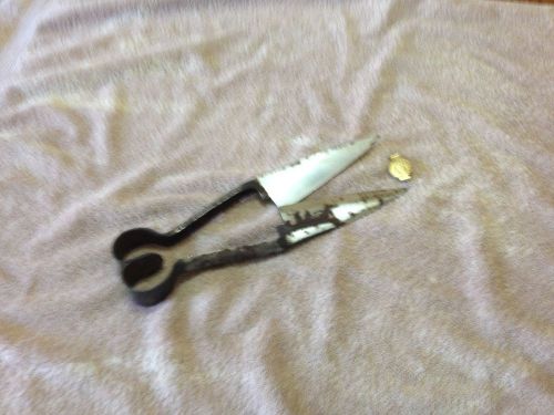 Hand Sheep Shears