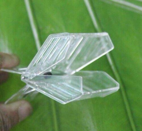 10 Quality Plastic Queen Clip / Honey Bee Queen Cage