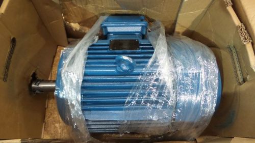 WEG 01018ET3H215T-W22 10 HP 1765 RPM 575 V General Purpose Motor