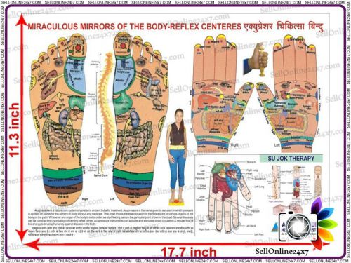 Sujok&#039;s Acupressure Chart- Useful In Training Institutions &amp; Private Tutions