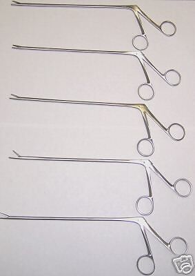 6 Alligator Forceps 6.5&#034; Surgical Veterinary Instrument