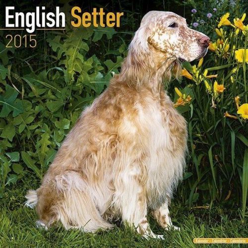New 2015 english setter wall calendar by avonside- free priority shipping! for sale