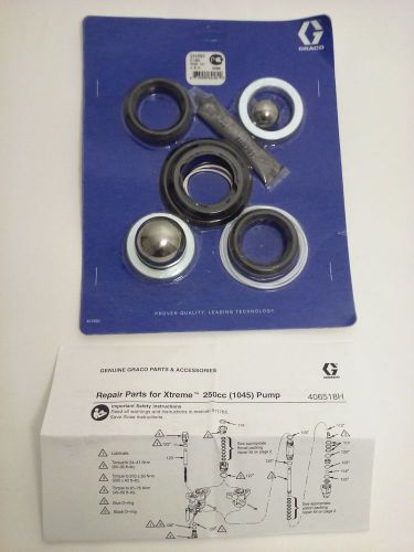 NEW GRACO Husky Repair Service Kit Xtreme 250cc Tuff (1045) Pump