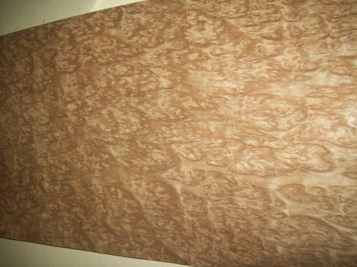 eucalyptus burl veneer 11 @ 12 x 36 [2750