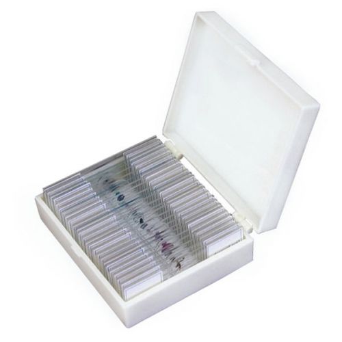 25 Glass Prepared Microscope Slides with Plastic Box