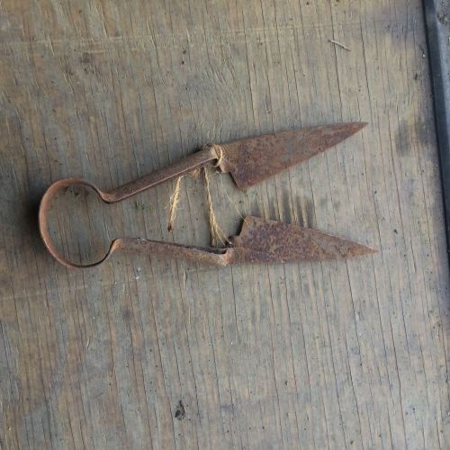 Vintage Hand Sheep Shears