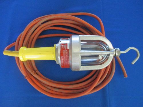 Daniel Woodhead Hazardous Location Explosion Proof Drop Light Steam Punk