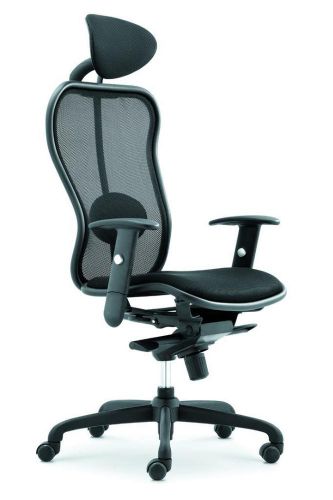 Ergohuman  executive office chair for sale