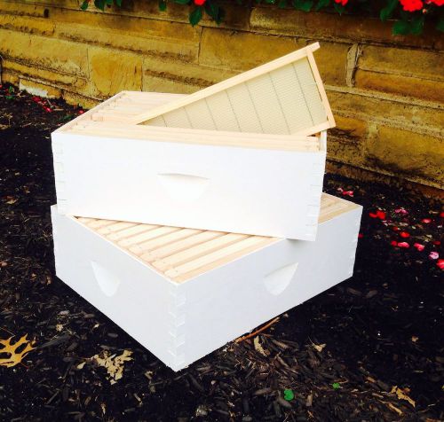 &#034;Honey Flo Special&#034; TWO 10 frame Mediums ,beekeeping beehive bee honey hive