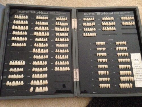 Trubyte Bioblend Anterior Mould Guide Porcelain by Dentsply Int&#039;l Inc