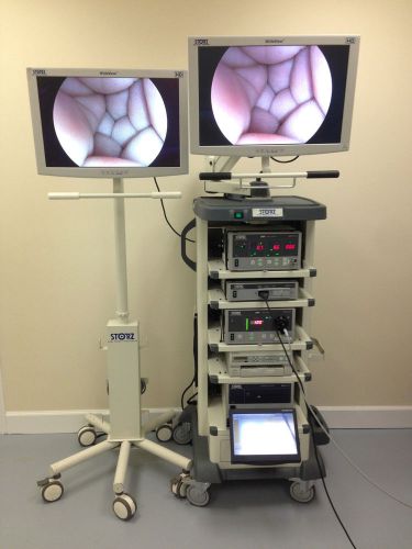 Karl Storz Image 1 HD Video Endoscopy Camera System Tower