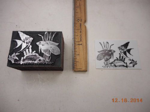 Letterpress Printing Printers Block, Aquarium Fish, Angel Fish, Betta, &amp; Unknown