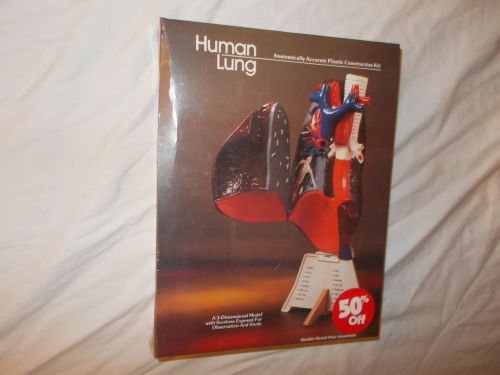 Lindberg 3D Human Lung Anatomically Accurate Plastic Construction Model MIB