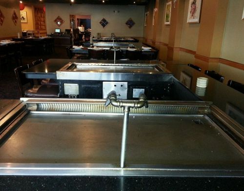 Hibachi grill  by Roaster Tech w/ downdraft system