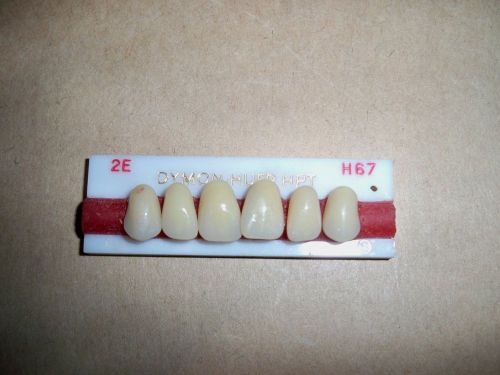 DYMON HUE HPT 1x6 upper DENTURE TEETH!!