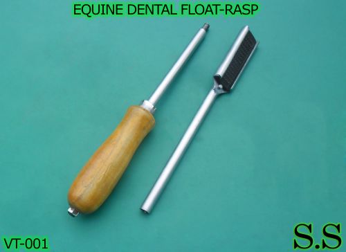 EQUINE DENTAL FLOAT-RASP HORSE VETERINARY Single, VT-001