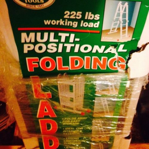 Folding Ladder