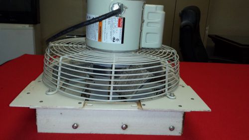 EXHAUST FAN Commercial - Dayton Direct Drive HP 1/8  - 115 Volts - PH1 RPM 1625