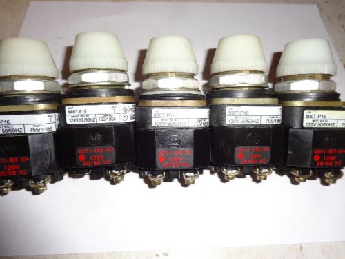 (5) ALLEN-BRADLEY 800T-P16W SERIES T WHITE LENS PILOT LIGHTS