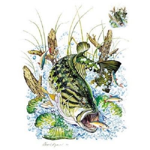 Large Mouth Bass Fish HEAT PRESS TRANSFER for T Shirt Bag Sweatshirt Fabric 248o