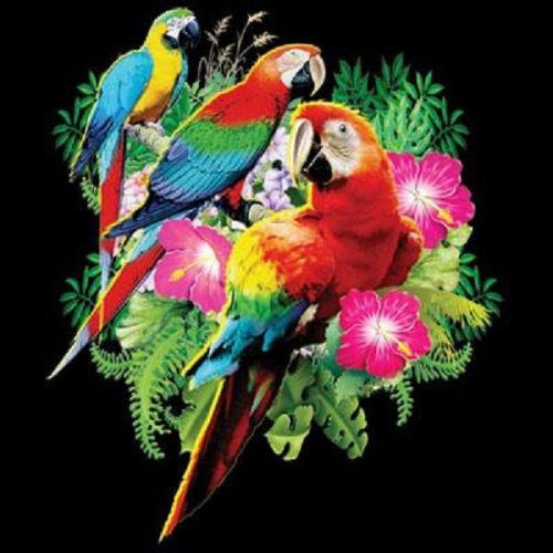 Parrot jungle bird heat press transfer for t shirt sweatshirt tote fabric 210f for sale