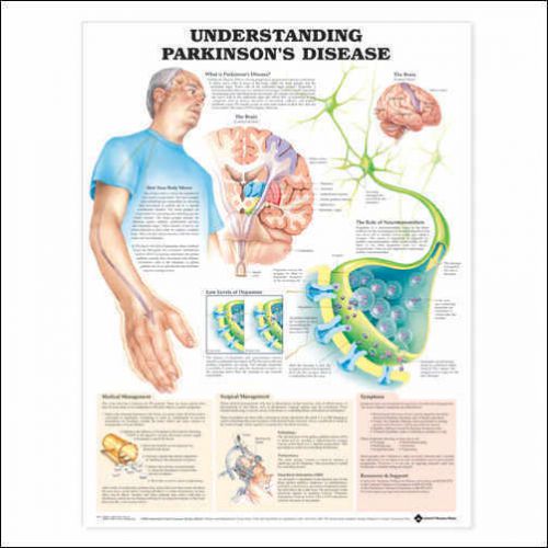 Understanding Parkinsons&#039;s Disease * Anatomy Poster * Anatomical Chart Company