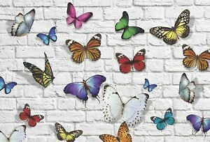 Altoona Design Butterfly Paper Placemats 24/pack Rectangle Flutter Butterflies 1